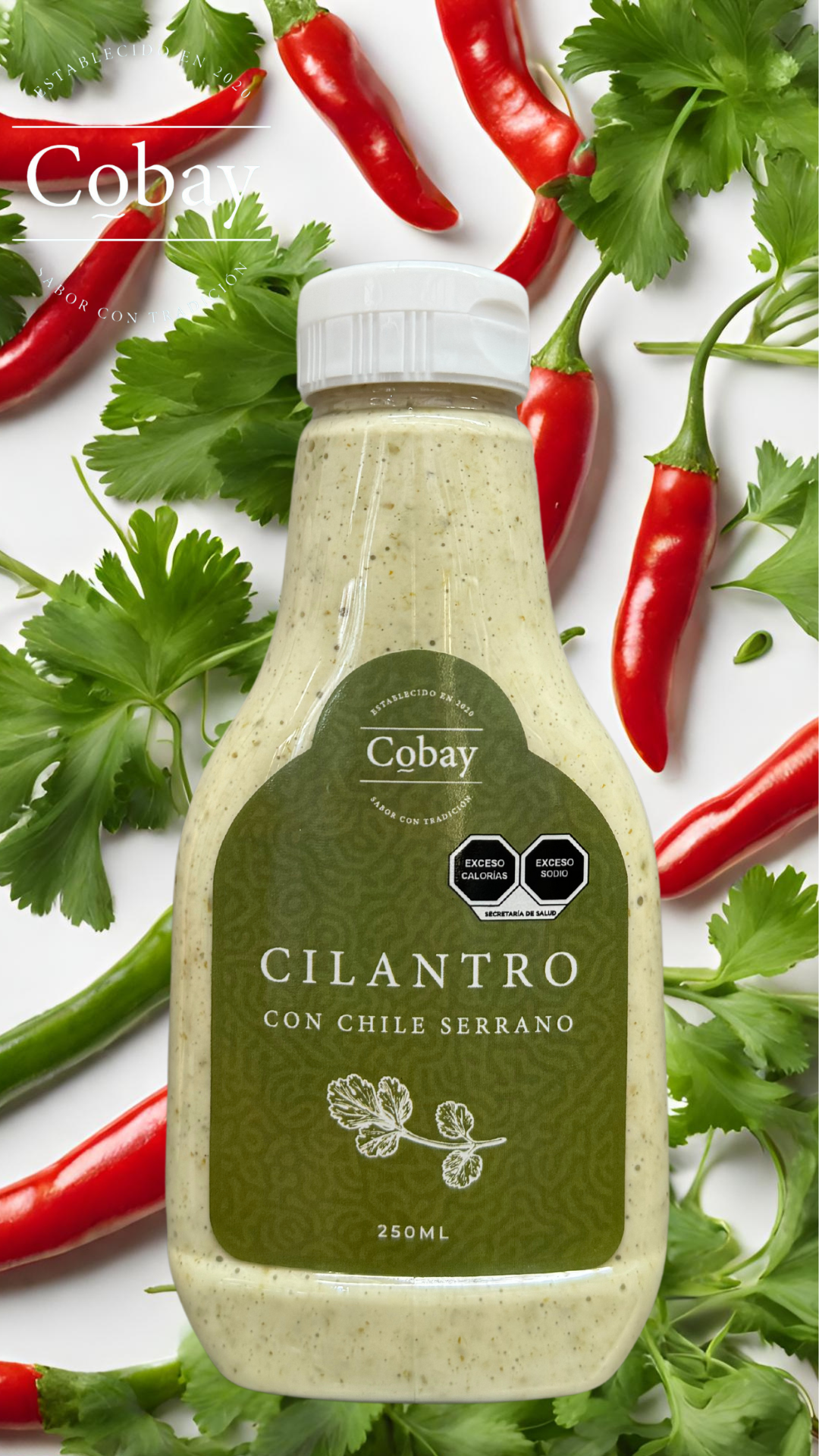 Aderezo de cilantro con chile serrano